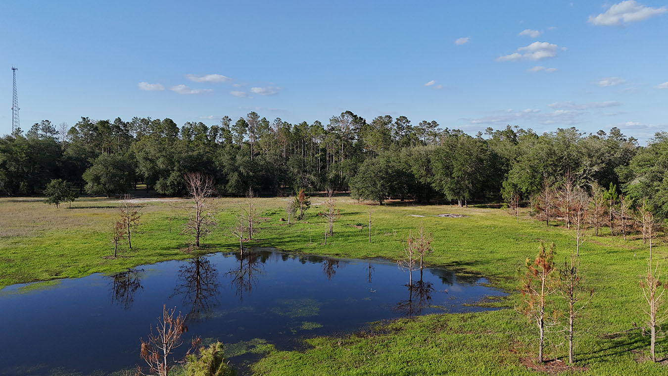 North Florida Recreational and Hunting Acreage