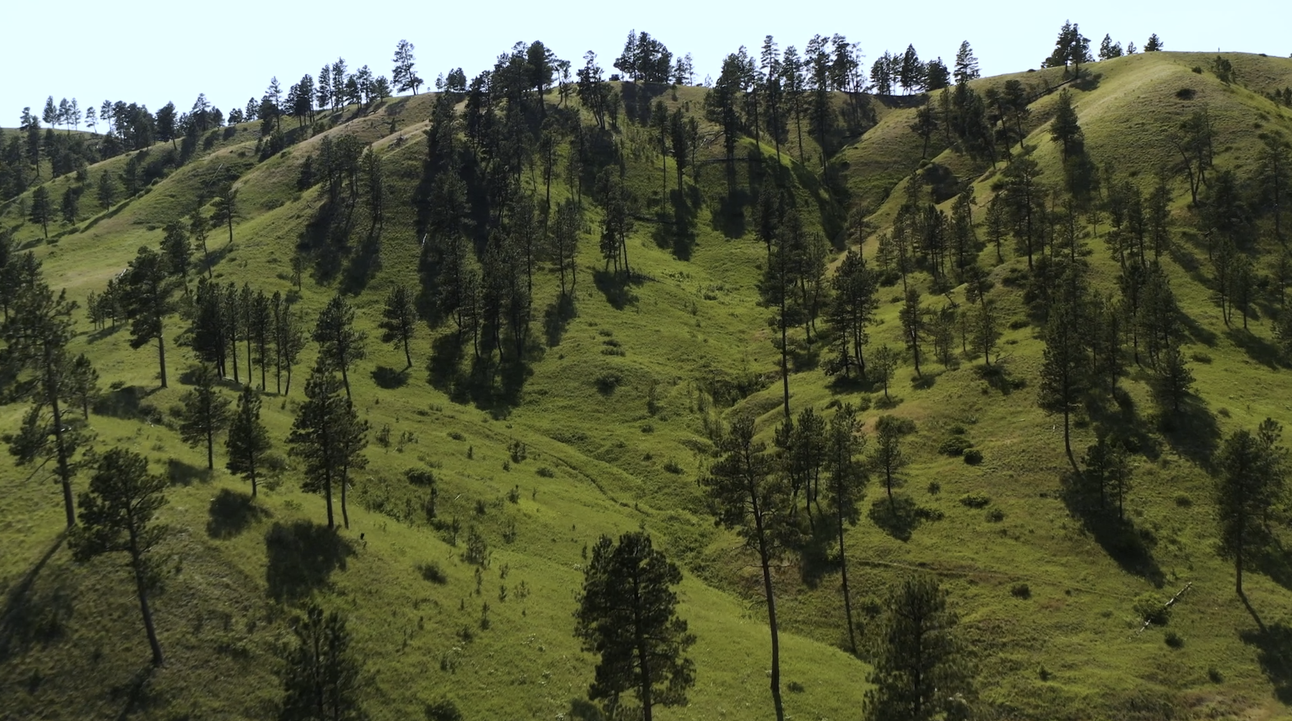 Pine Ridge Sanctuary-Premier Montana Hunting Land near Billings