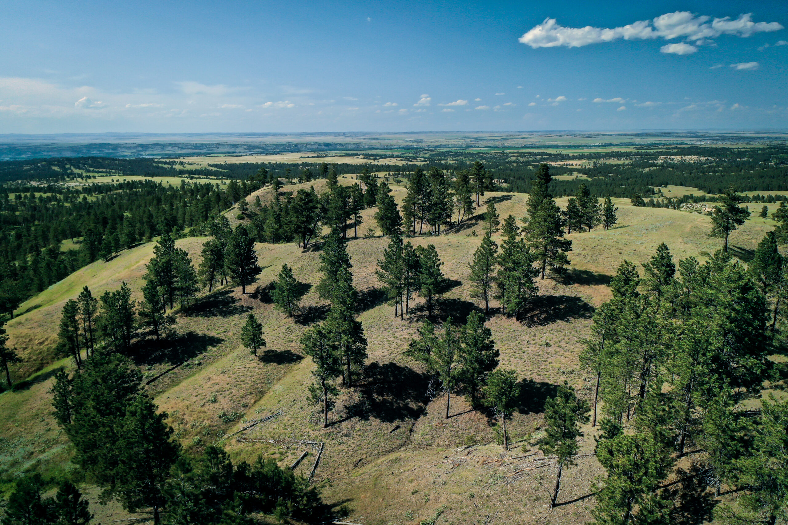 Pine Ridge Sanctuary-Premier Montana Hunting Land near Billings
