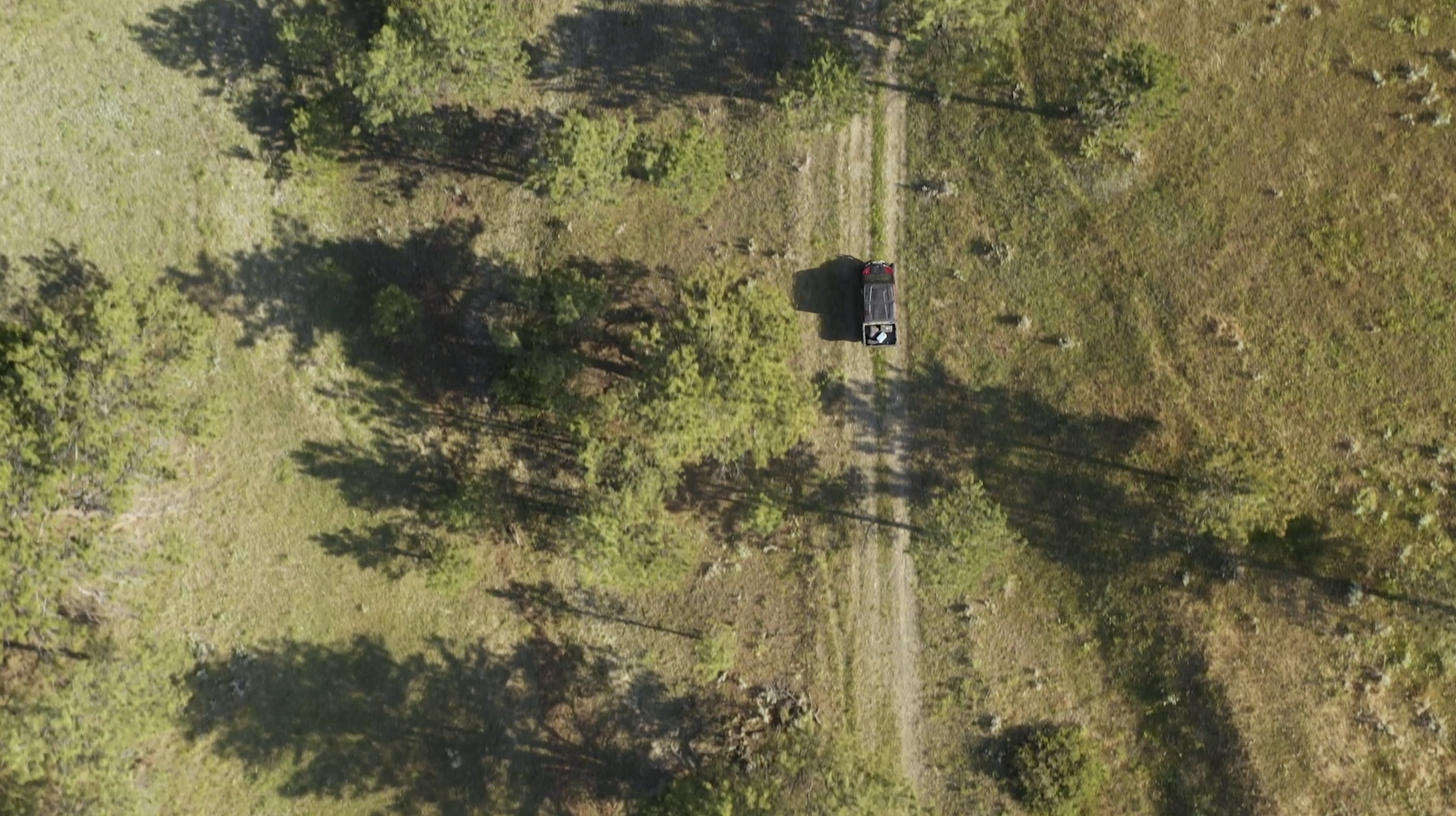 Pine Ridge Sanctuary-Premier Montana Hunting Land near Billings