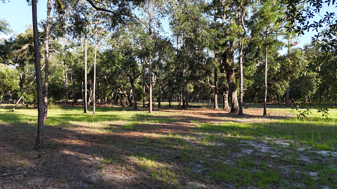 North Florida Recreational and Hunting Acreage