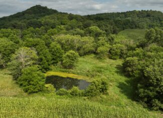 Land with Trout Stream for Sale in Richland County, Wisconsin