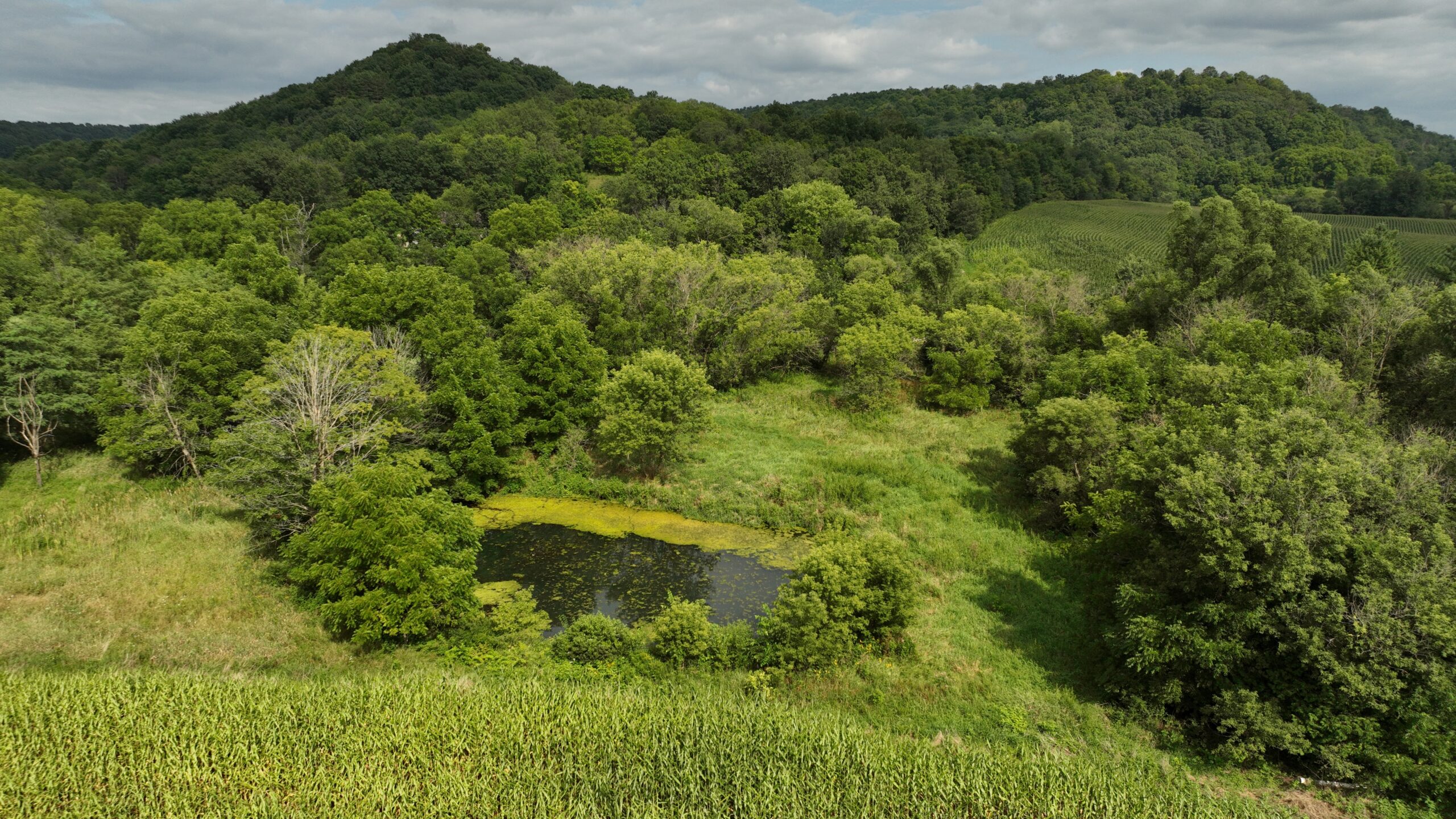 Land with Trout Stream for Sale in Richland County, Wisconsin