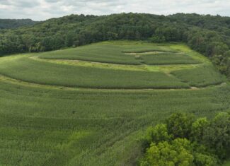 Land with Trout Stream for Sale in Richland County, Wisconsin