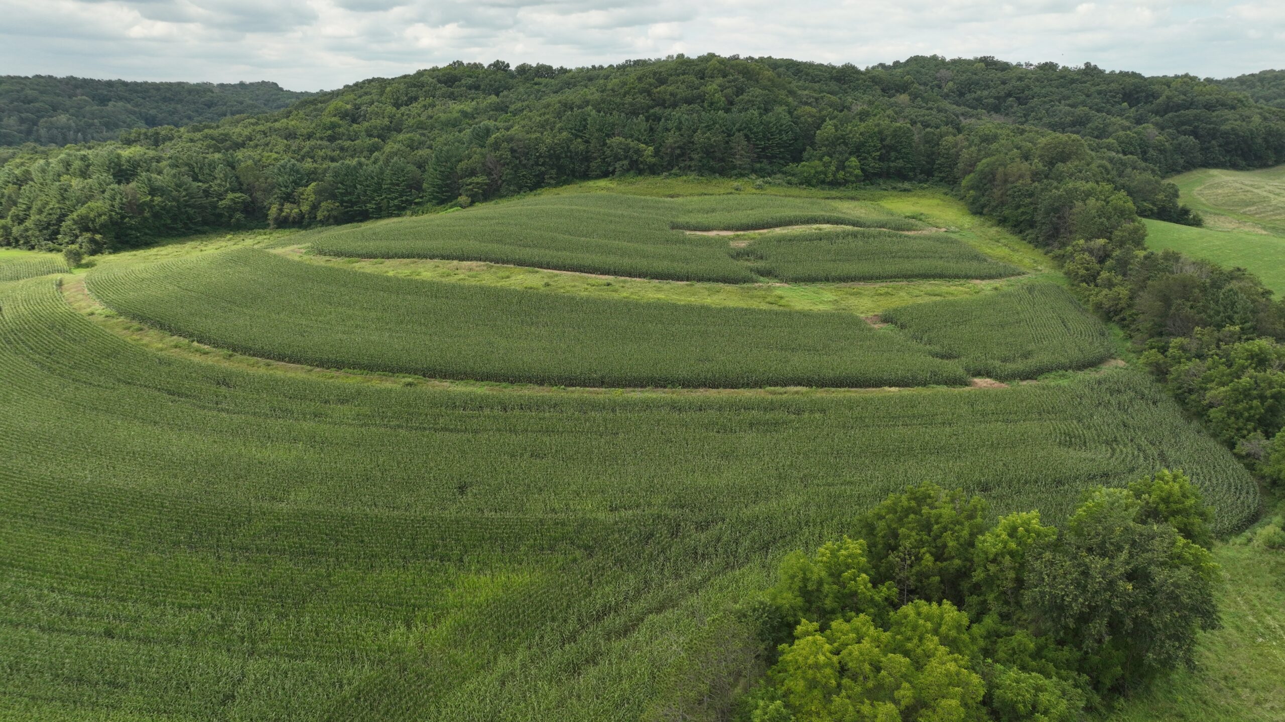 Land with Trout Stream for Sale in Richland County, Wisconsin
