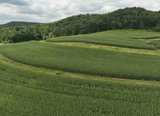 Land with Trout Stream for Sale in Richland County, Wisconsin