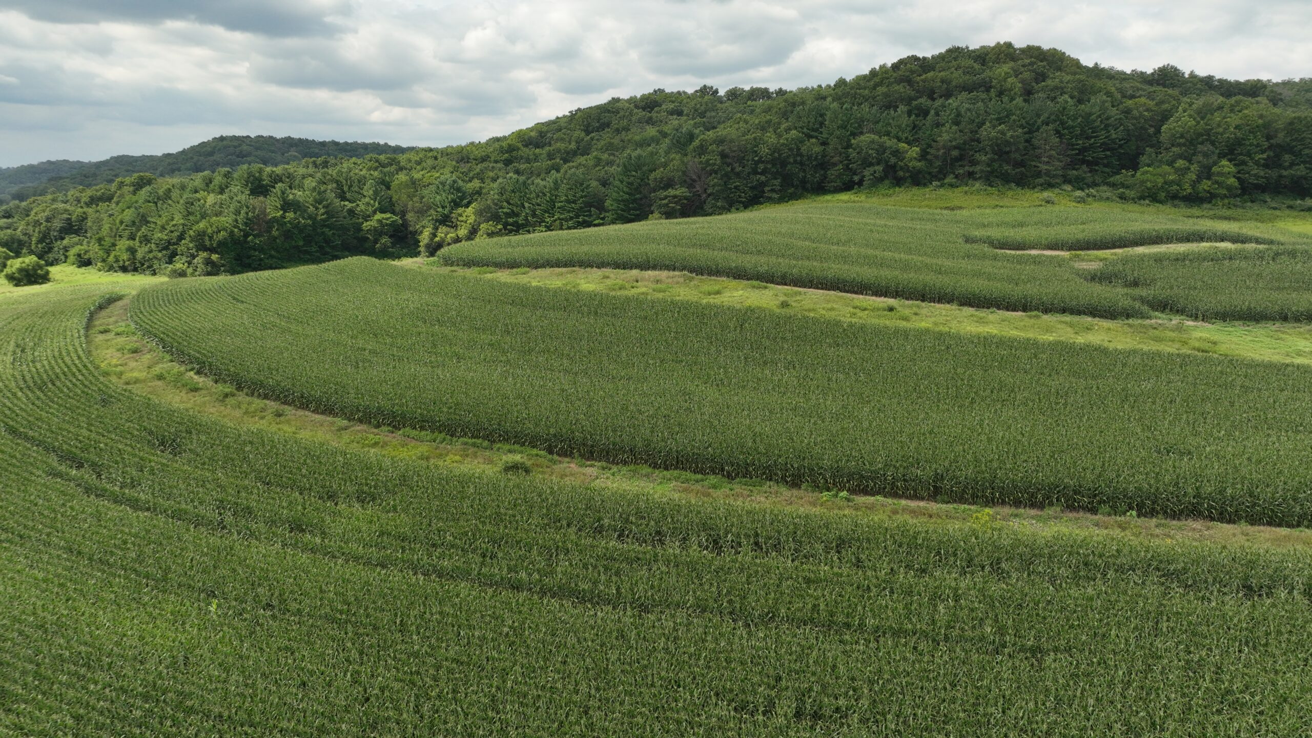 Land with Trout Stream for Sale in Richland County, Wisconsin