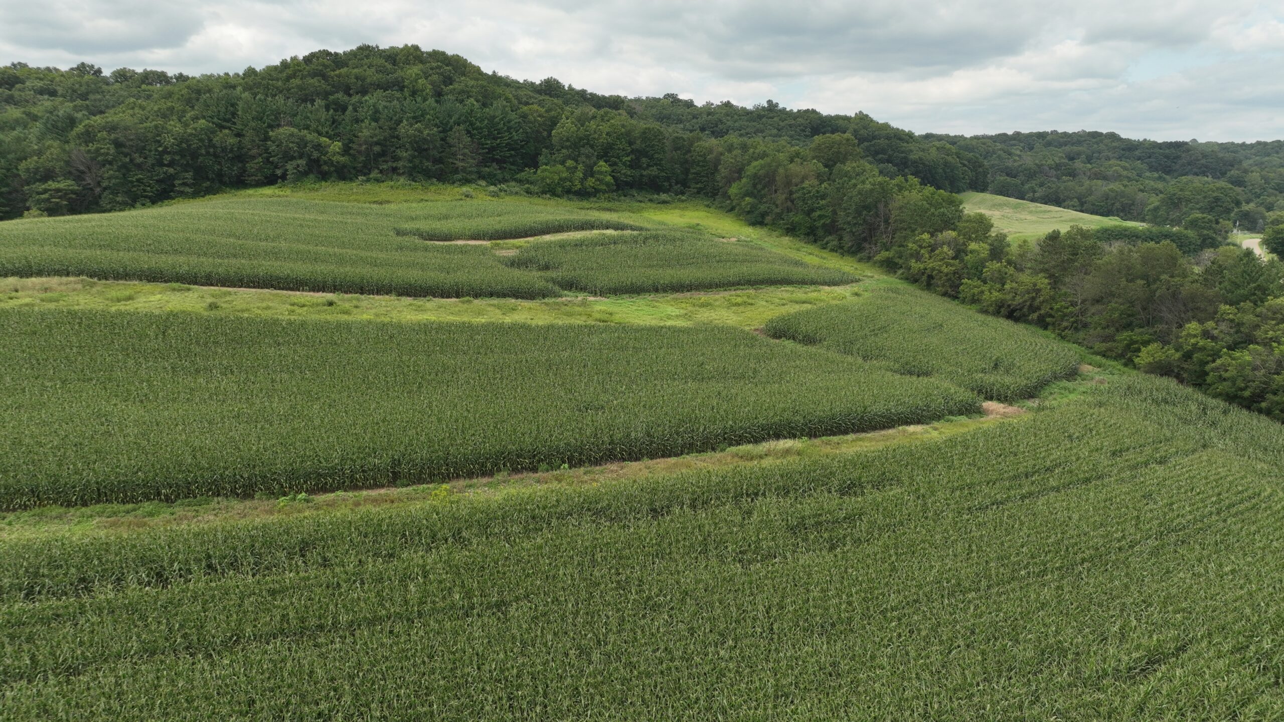 Land with Trout Stream for Sale in Richland County, Wisconsin