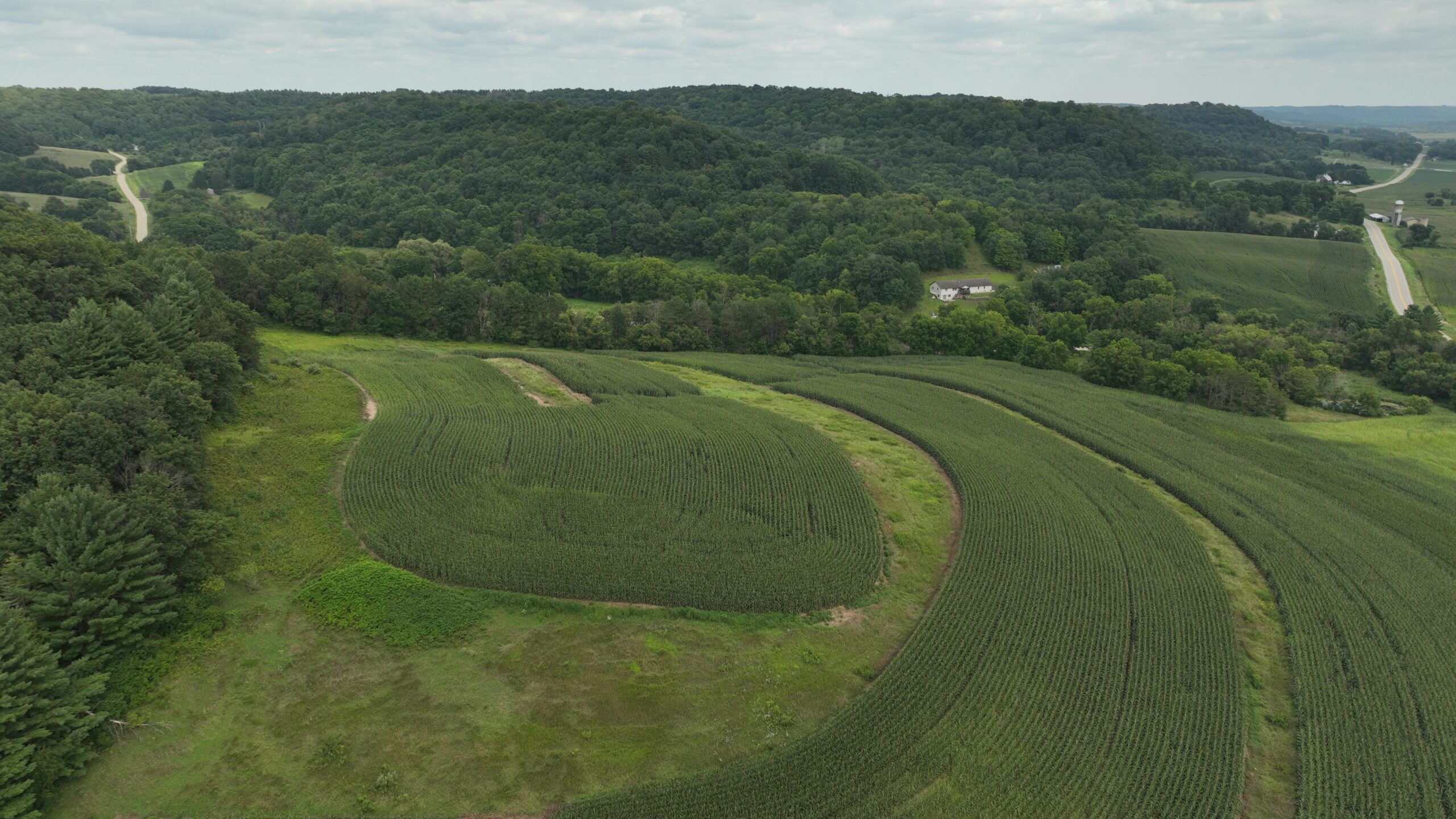 Land with Trout Stream for Sale in Richland County, Wisconsin