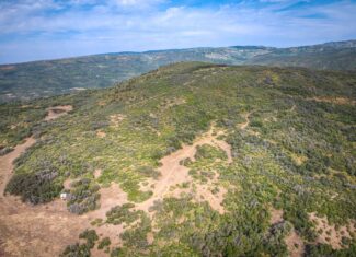 Whiskey Jug Ranch 465 Acre CO Hunting And Recreation Property With Cabin