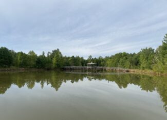 LAND FOR SALE IN TN WITH 2 LARGE PONDS NEAR PICKWICK LAKE