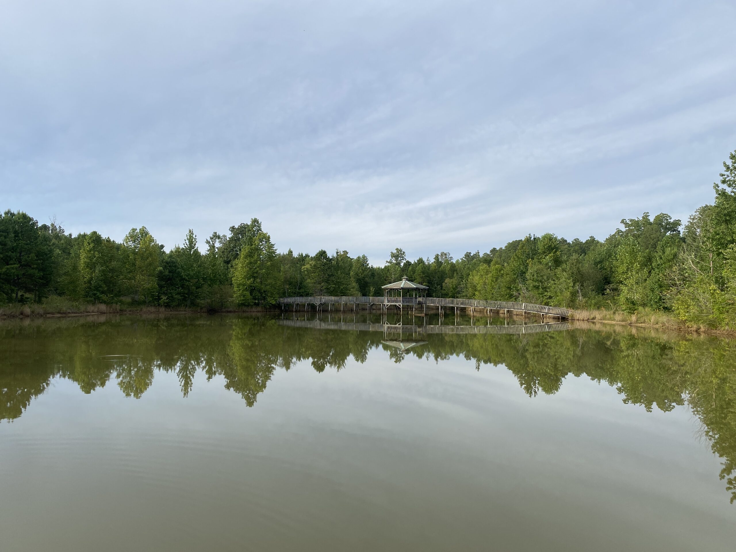 LAND FOR SALE IN TN WITH 2 LARGE PONDS NEAR PICKWICK LAKE