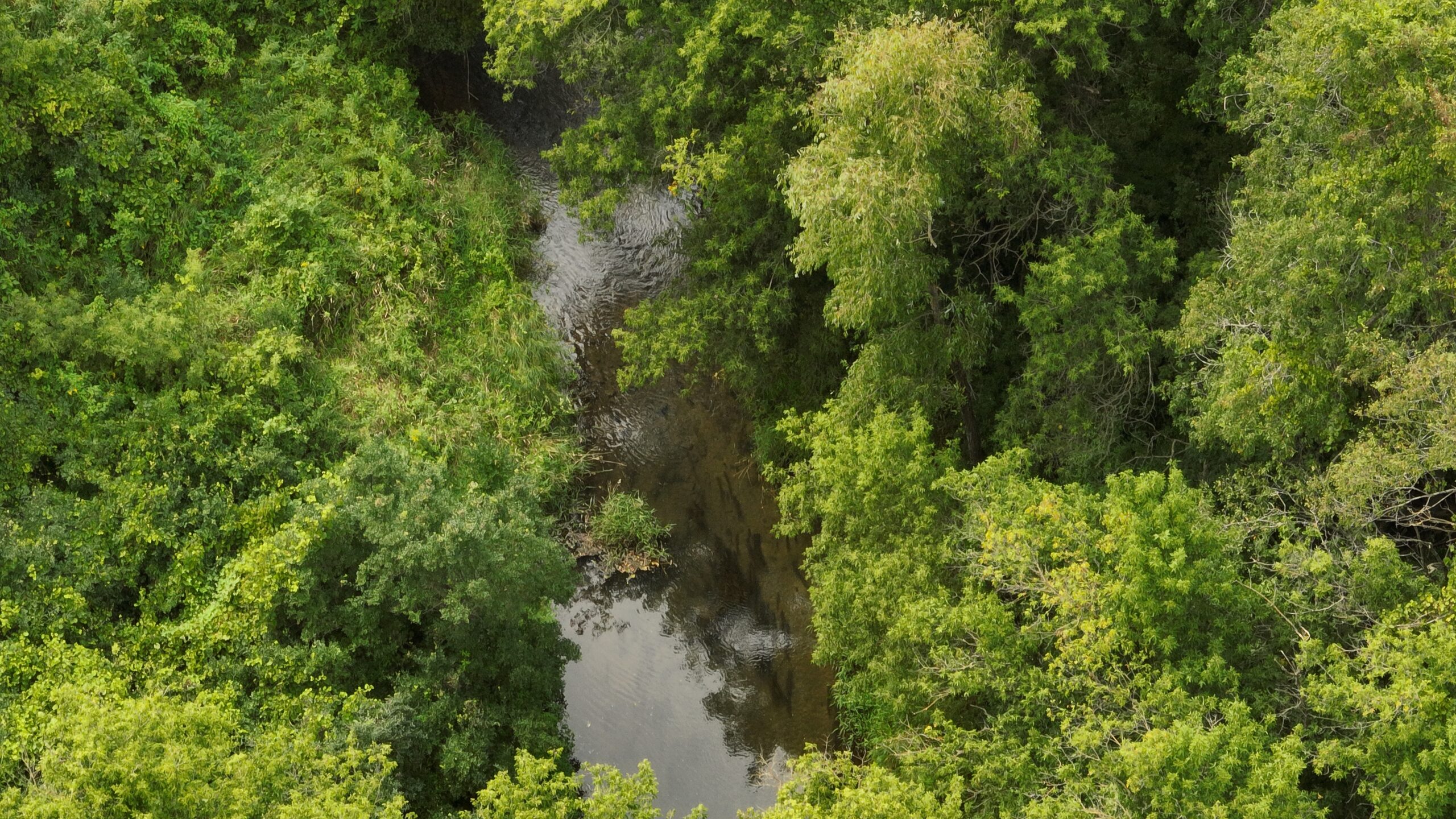 Land with Trout Stream for Sale in Richland County, Wisconsin