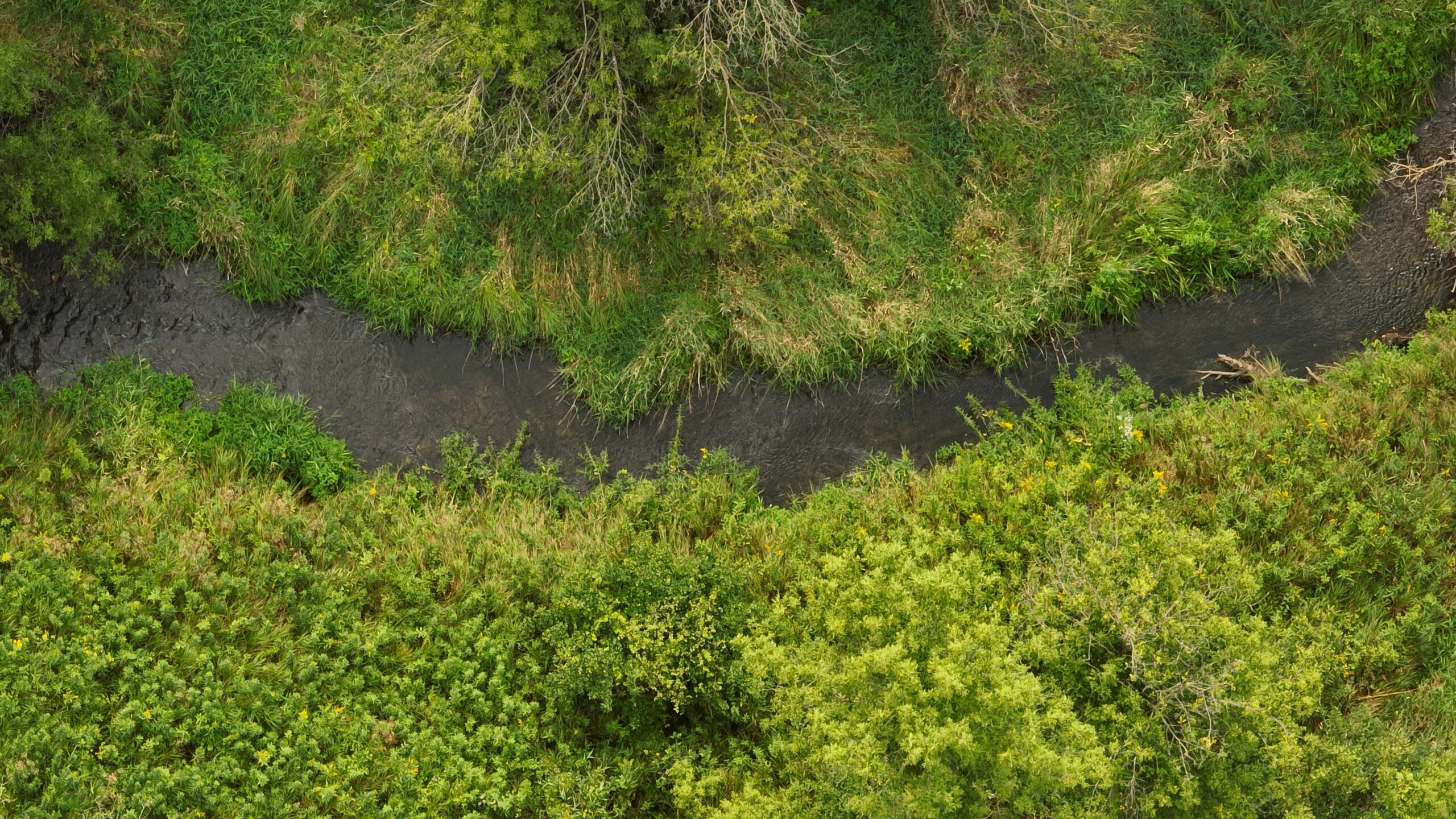 Land with Trout Stream for Sale in Richland County, Wisconsin