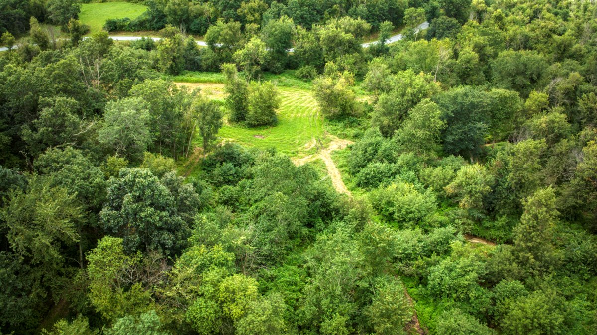 Hunting Property in Trempealeau County, WI