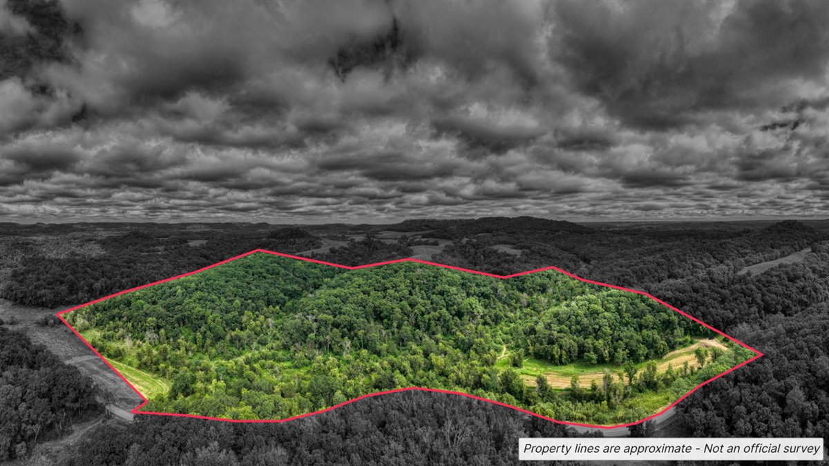 Hunting Property in Trempealeau County, WI