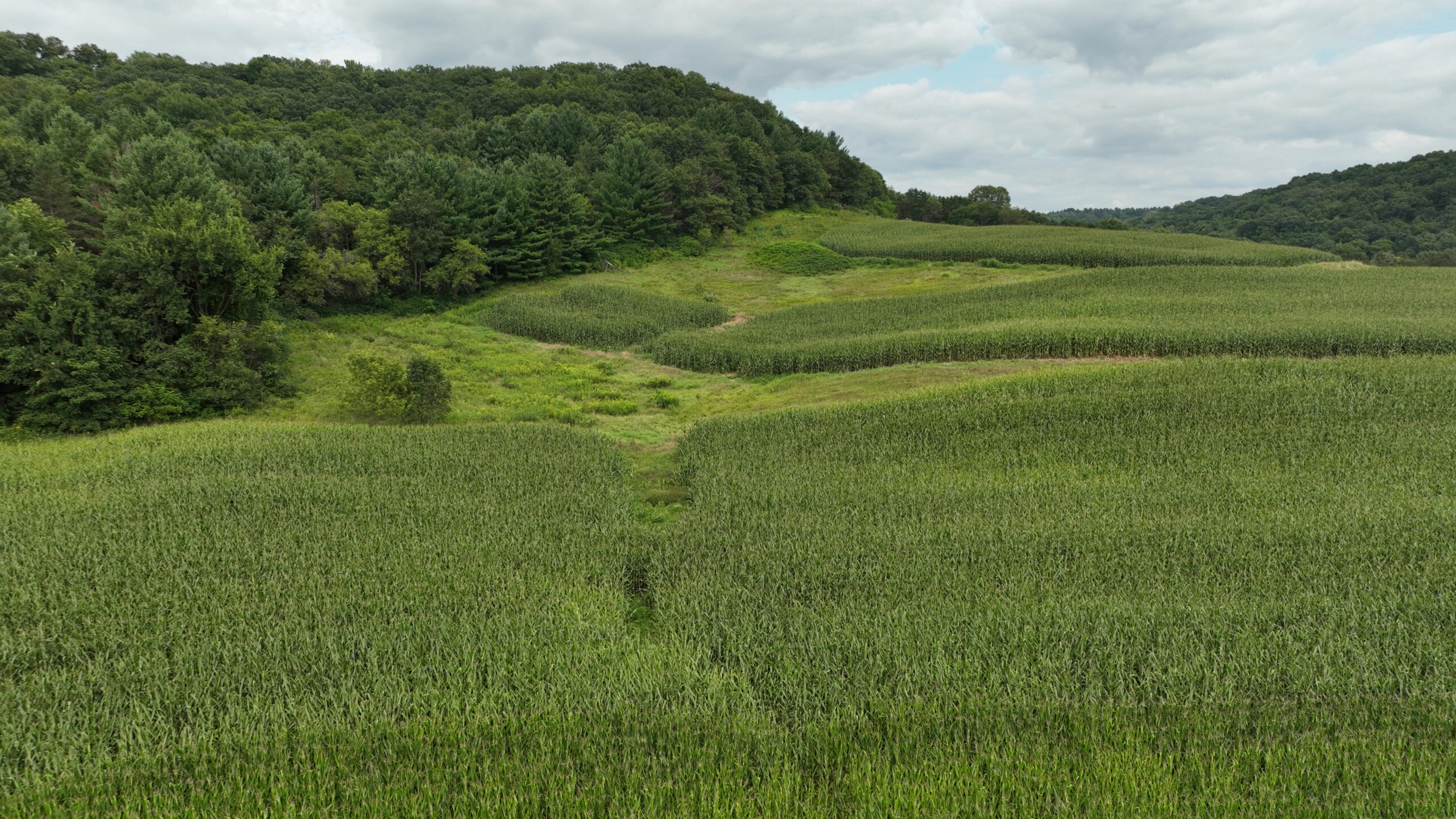 Land with Trout Stream for Sale in Richland County, Wisconsin