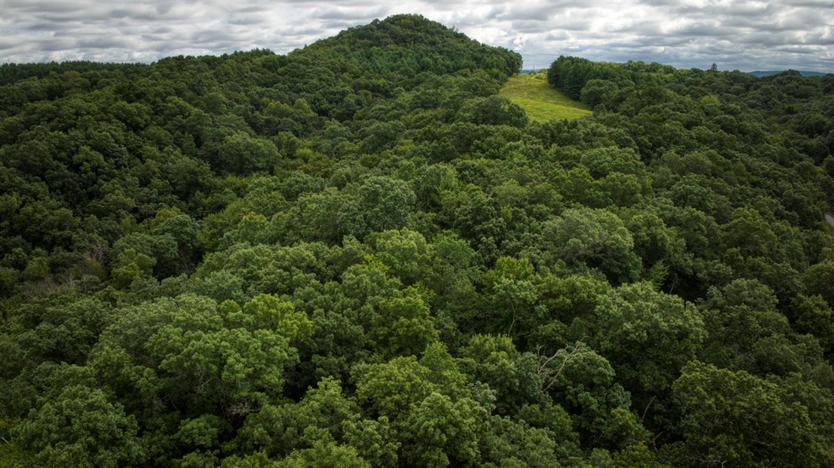 Hunting Property in Trempealeau County, WI