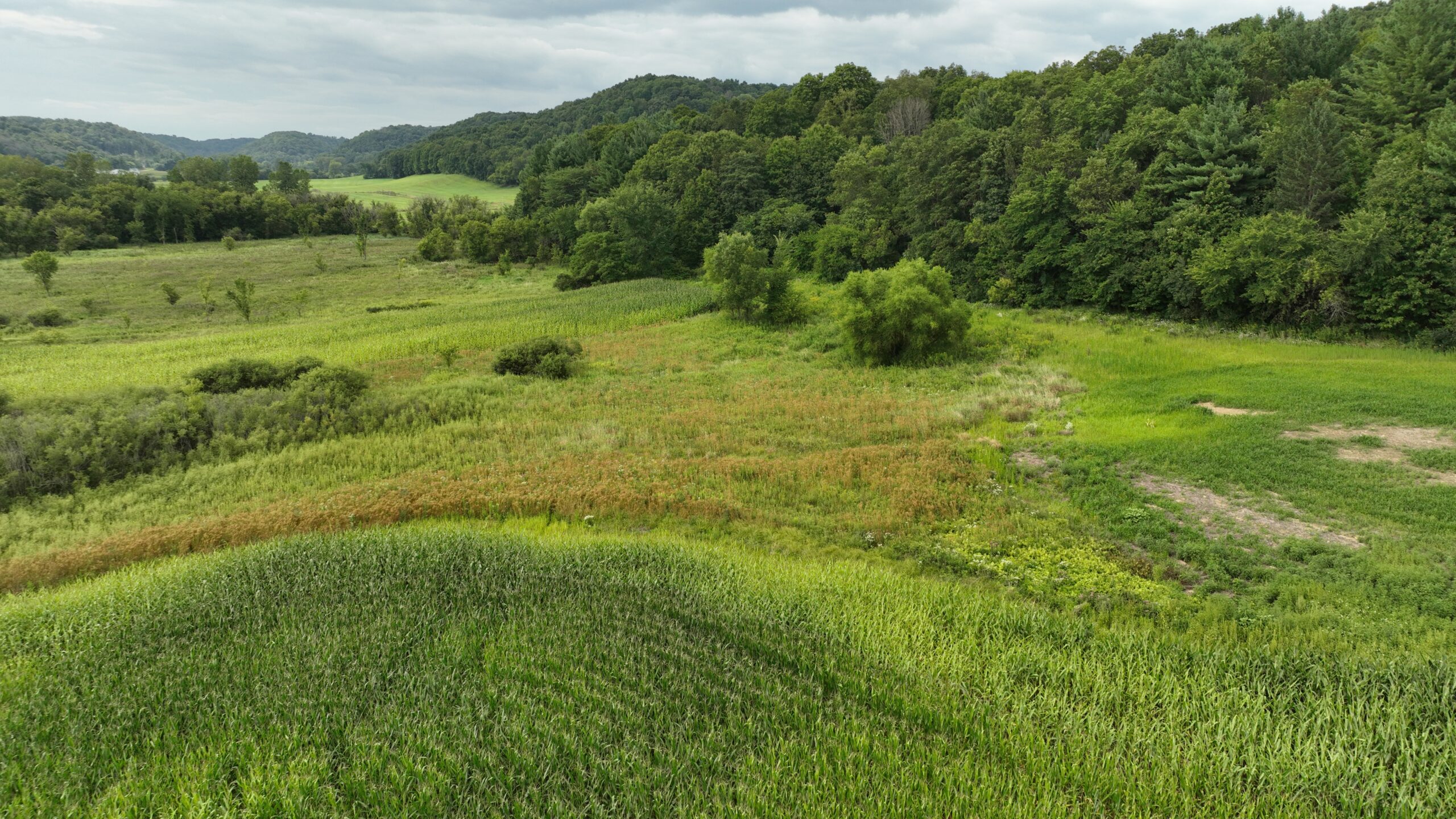 Land with Trout Stream for Sale in Richland County, Wisconsin