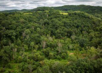 Hunting Property in Trempealeau County, WI
