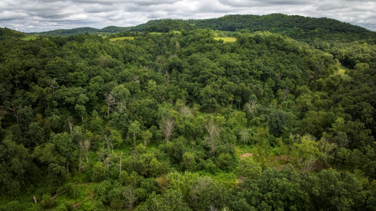 Hunting Property in Trempealeau County, WI