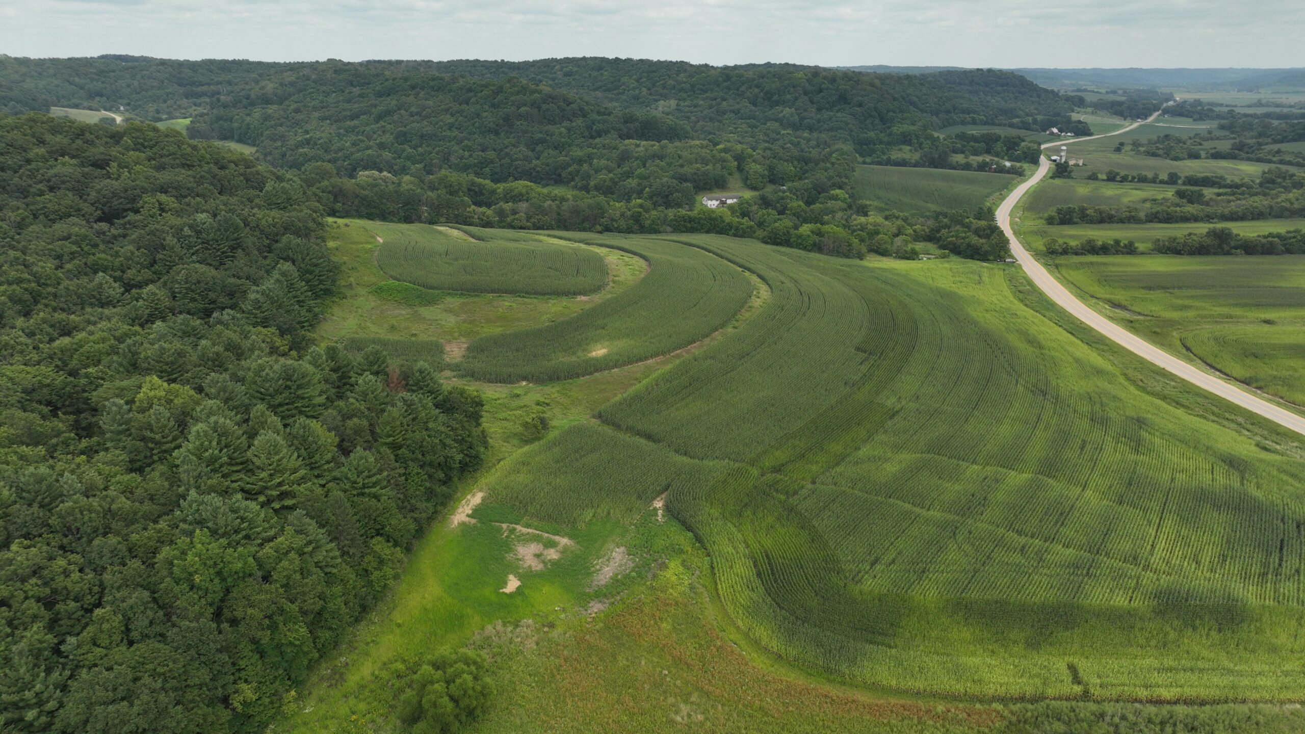 Land with Trout Stream for Sale in Richland County, Wisconsin
