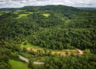 Hunting Property in Trempealeau County, WI