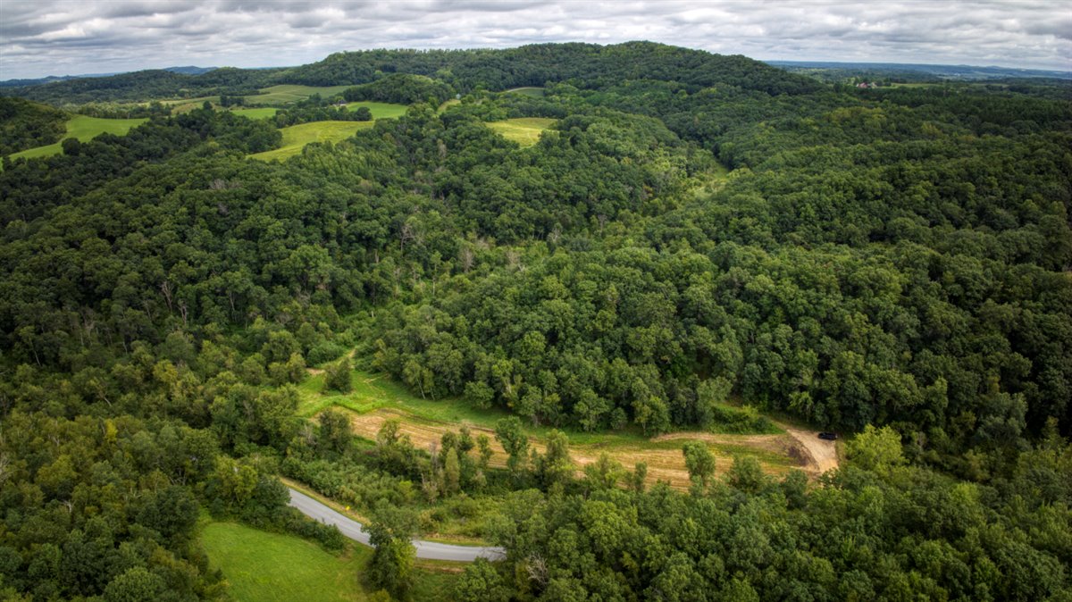 Hunting Property in Trempealeau County, WI