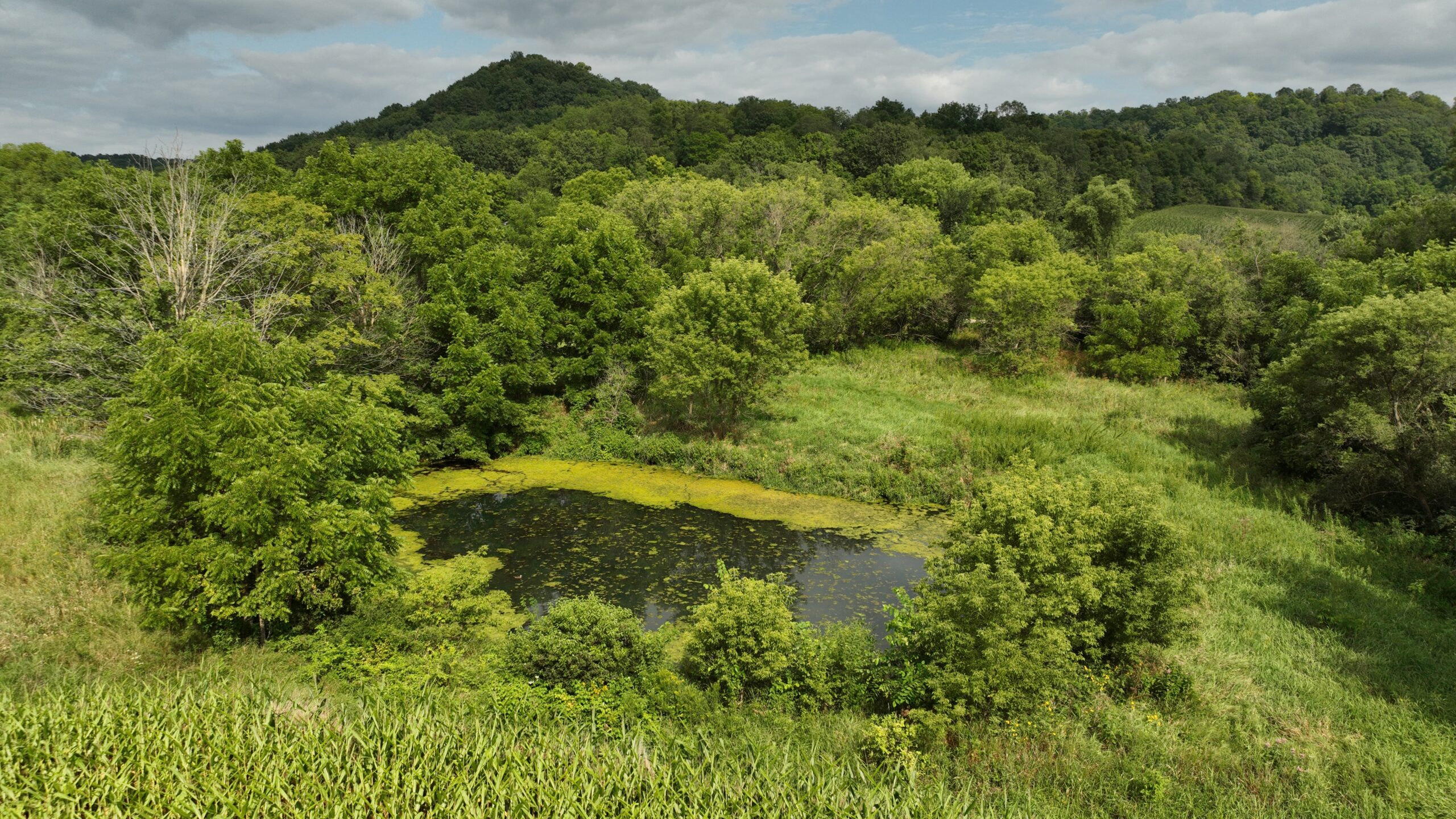 Land with Trout Stream for Sale in Richland County, Wisconsin