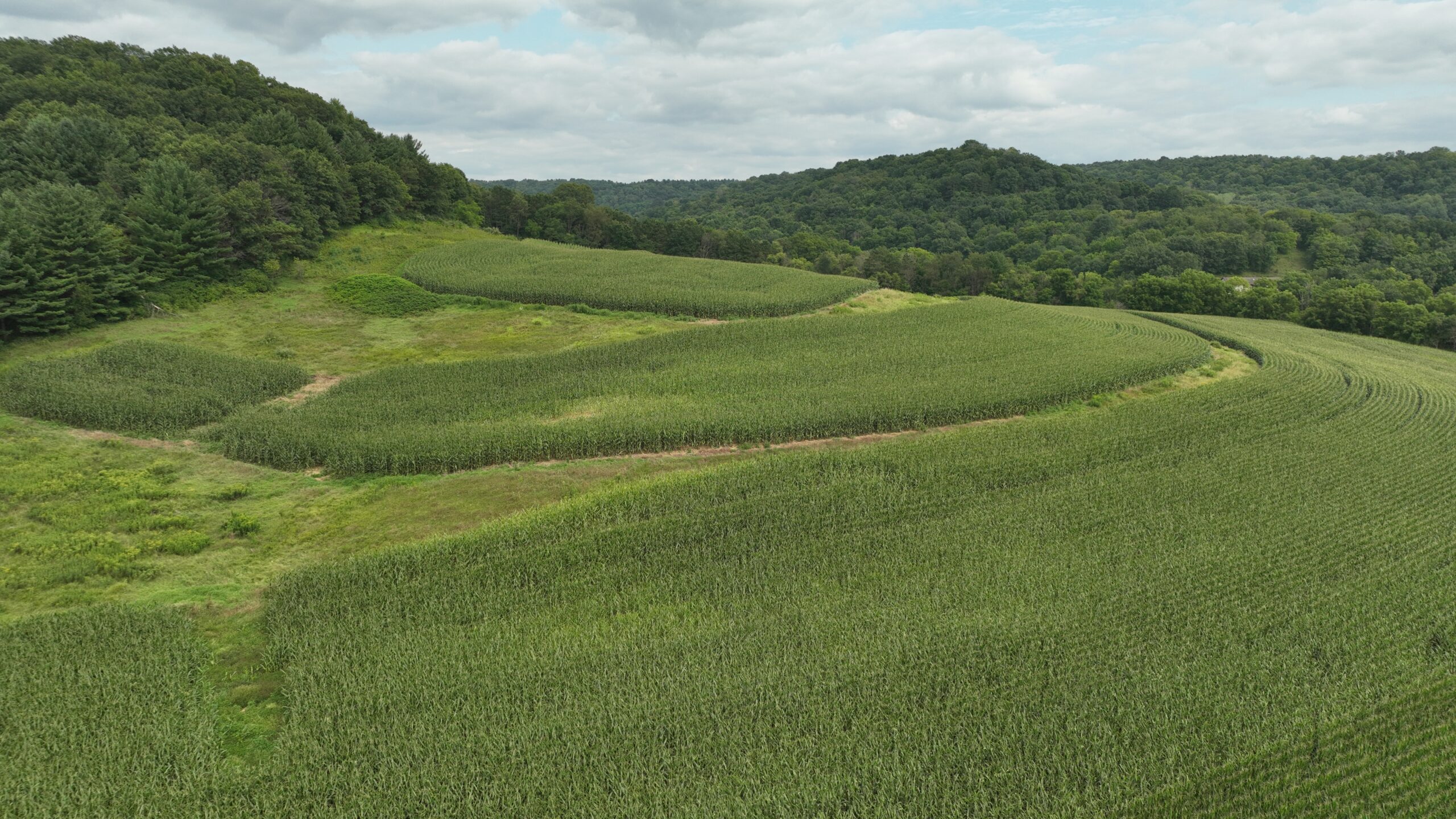 Land with Trout Stream for Sale in Richland County, Wisconsin