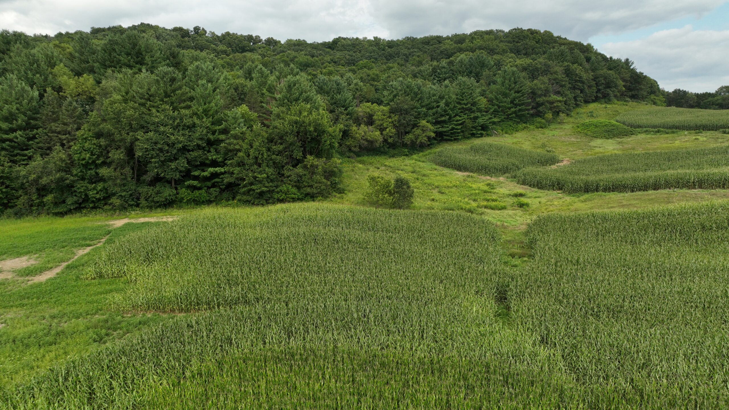 Land with Trout Stream for Sale in Richland County, Wisconsin