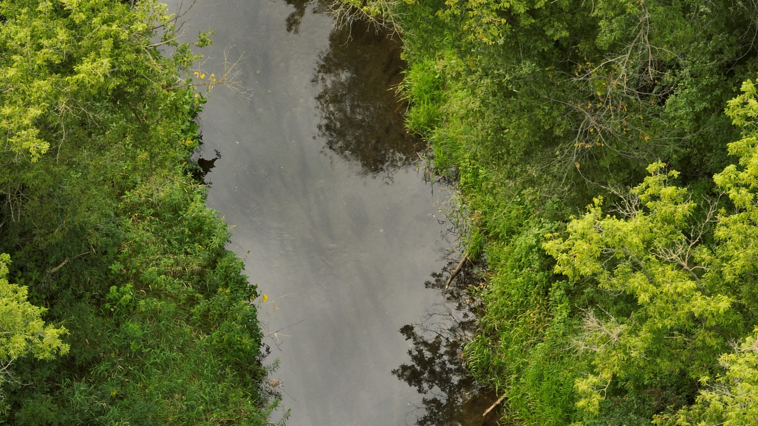 Land with Trout Stream for Sale in Richland County, Wisconsin