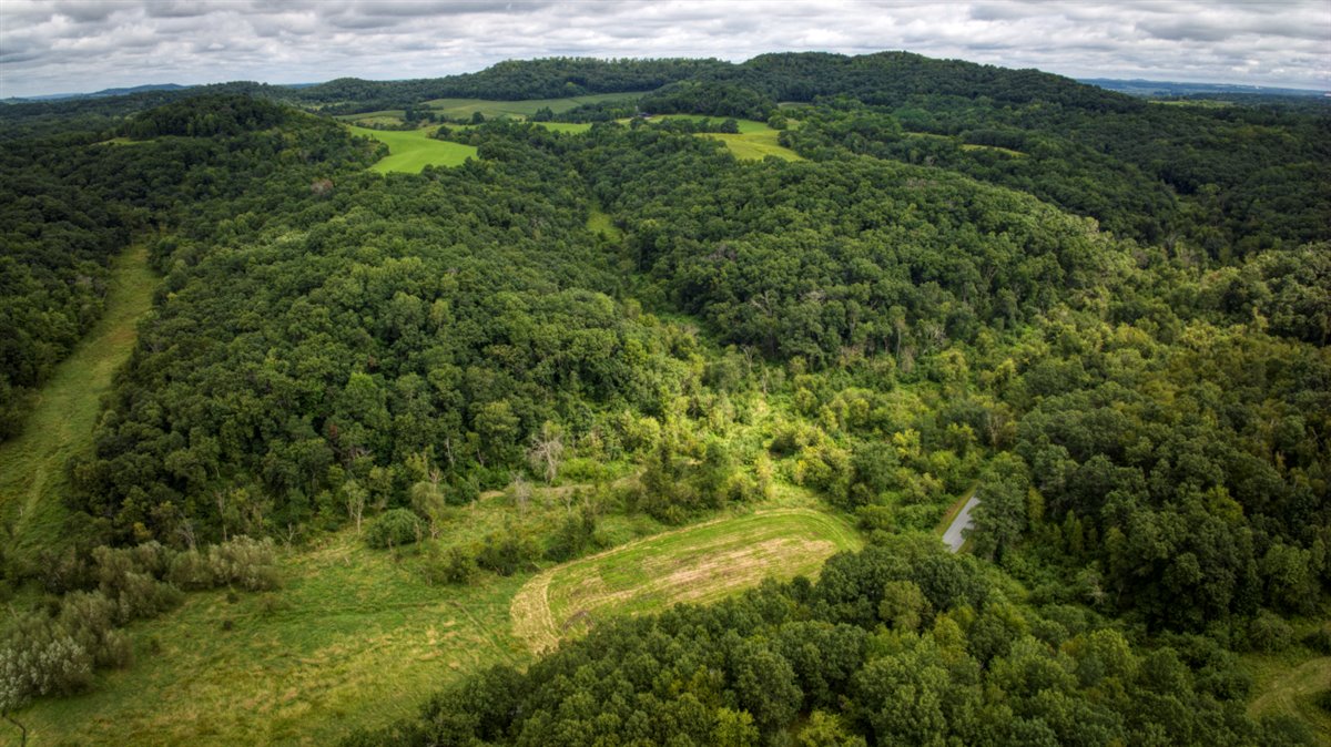 Hunting Property in Trempealeau County, WI