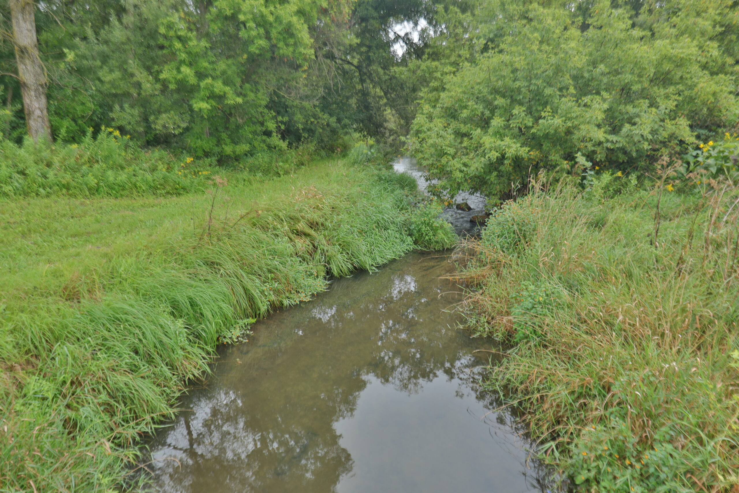 Land with Trout Stream for Sale in Richland County, Wisconsin