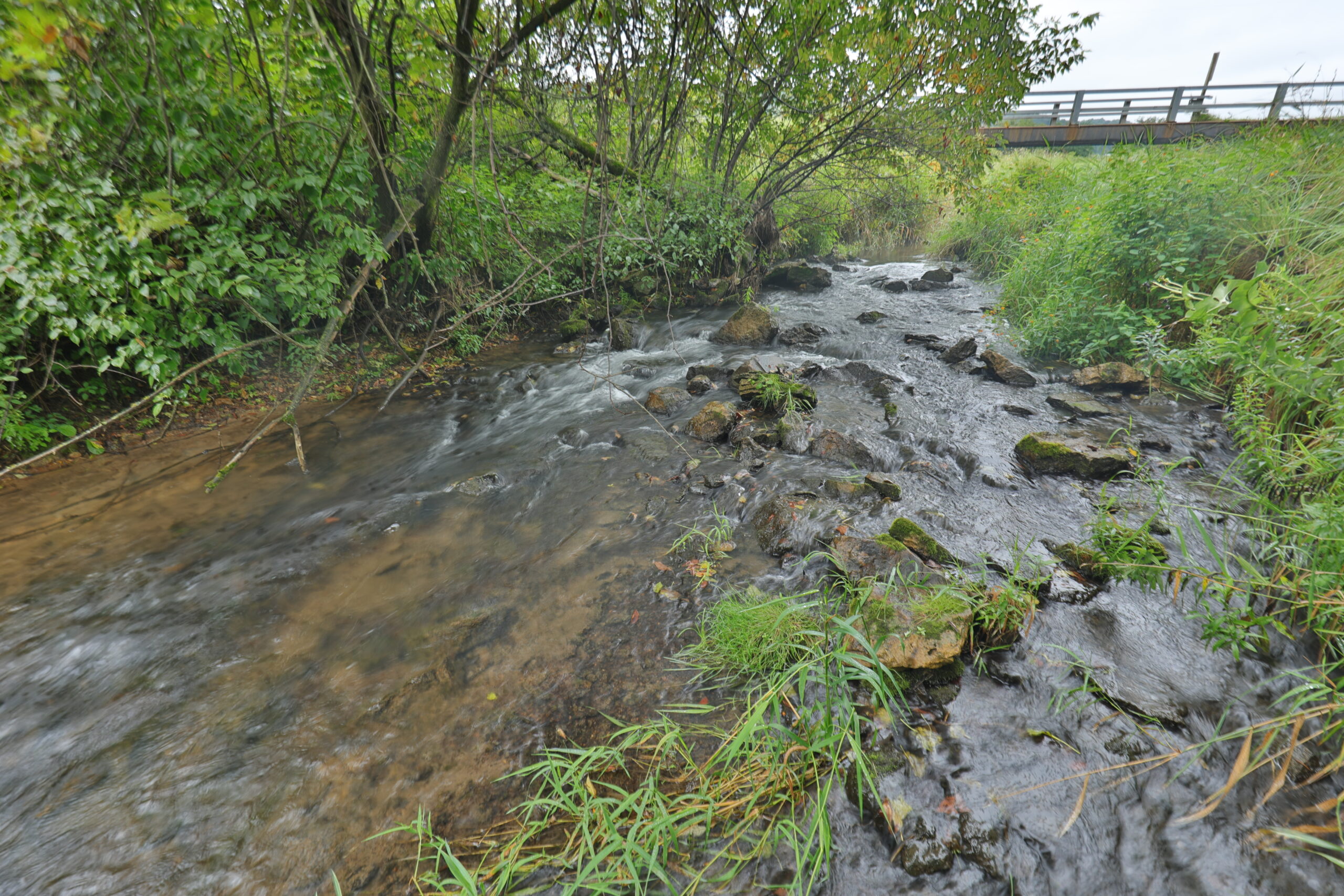 Land with Trout Stream for Sale in Richland County, Wisconsin