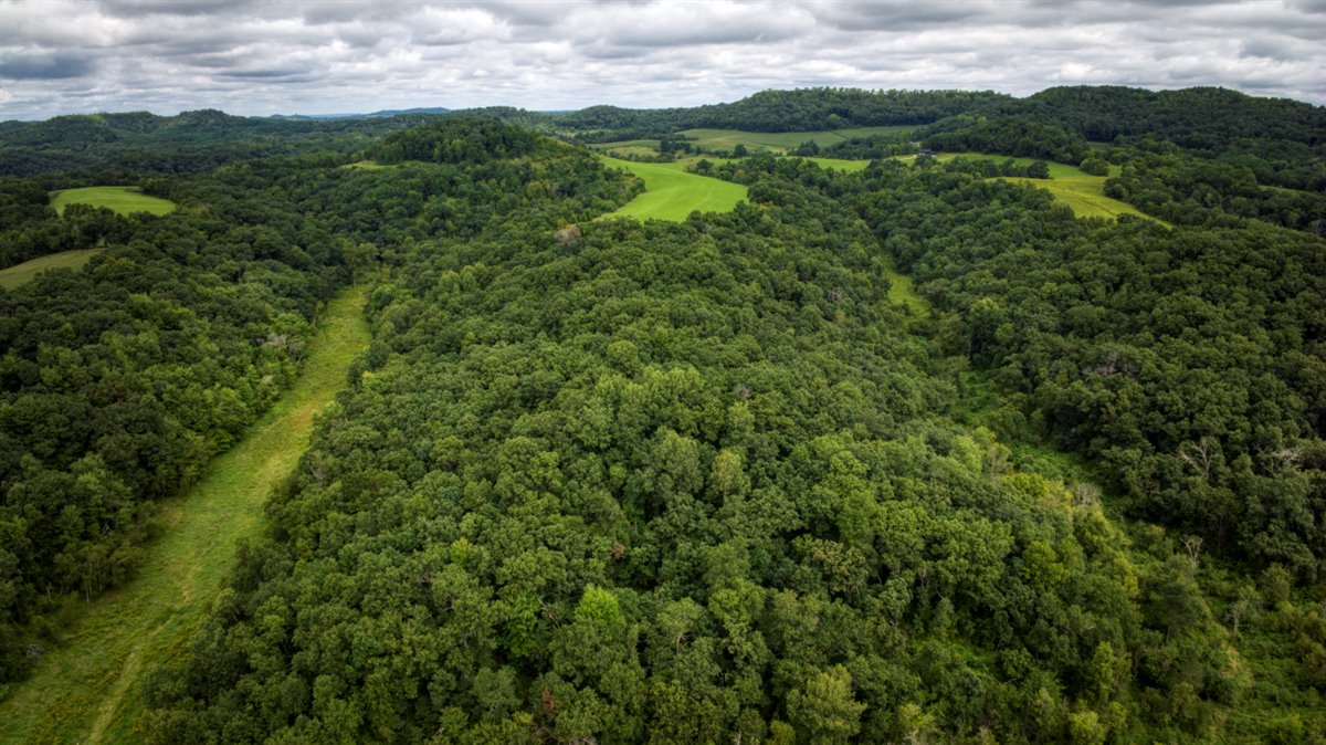Hunting Property in Trempealeau County, WI