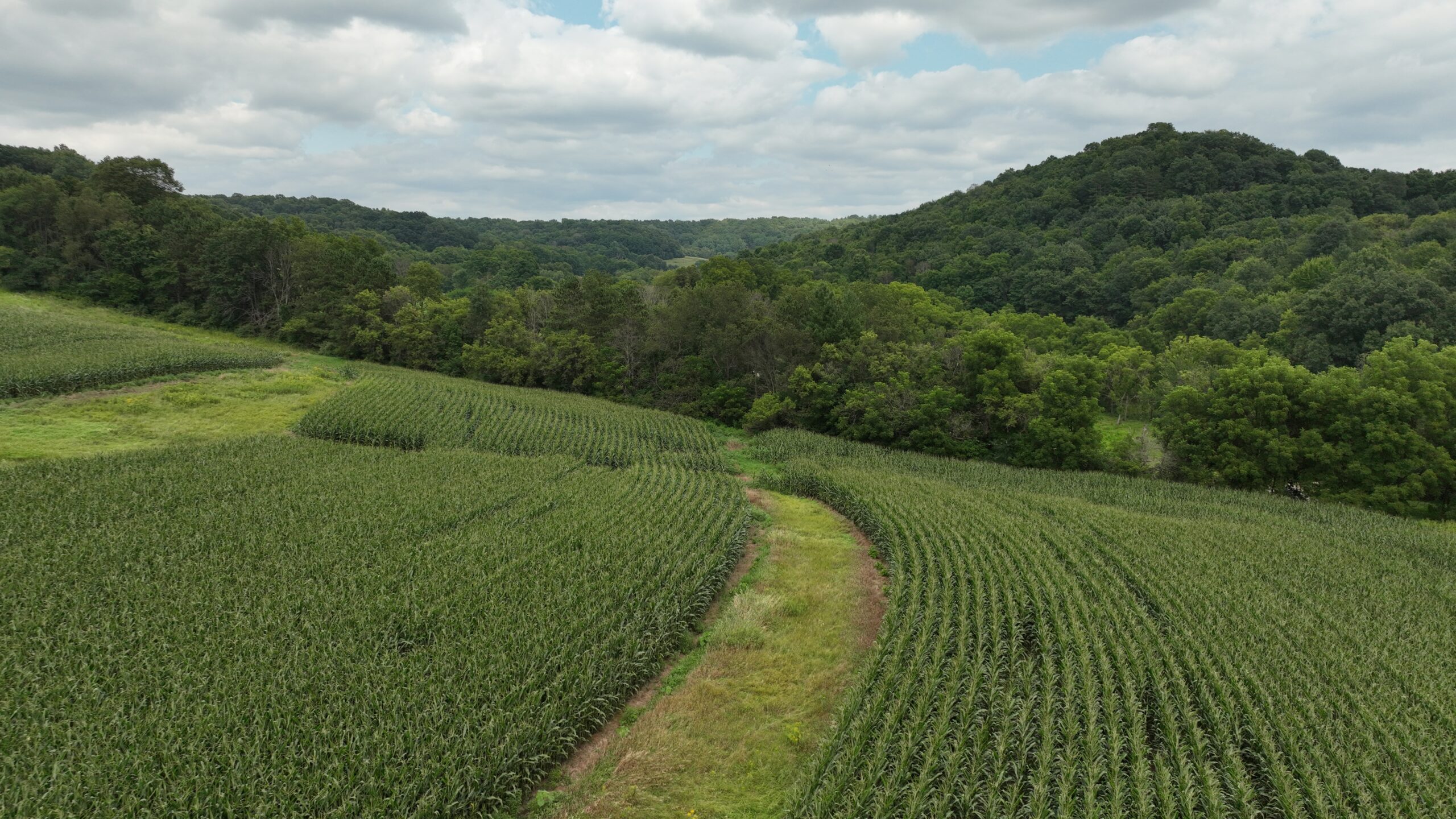 Land with Trout Stream for Sale in Richland County, Wisconsin