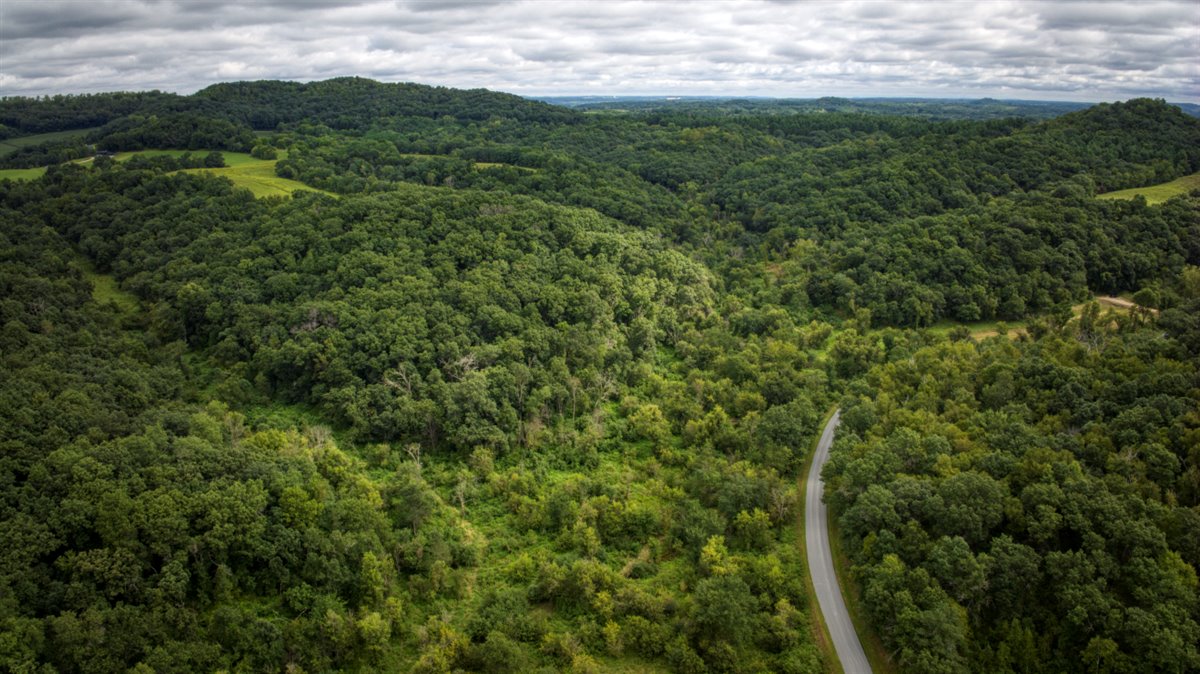 Hunting Property in Trempealeau County, WI