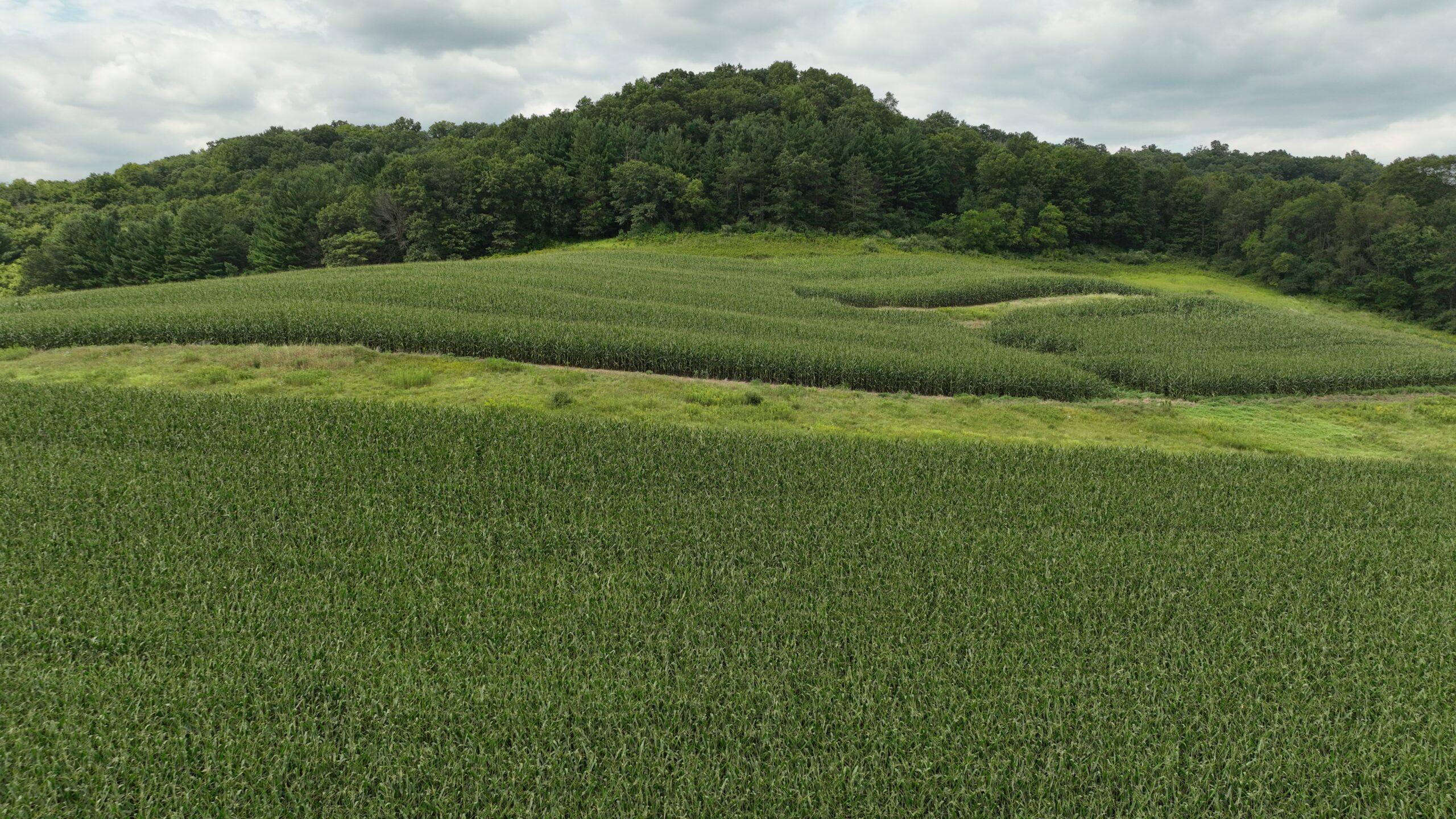 Land with Trout Stream for Sale in Richland County, Wisconsin