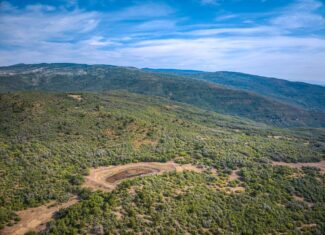 Whiskey Jug Ranch 465 Acre CO Hunting And Recreation Property With Cabin
