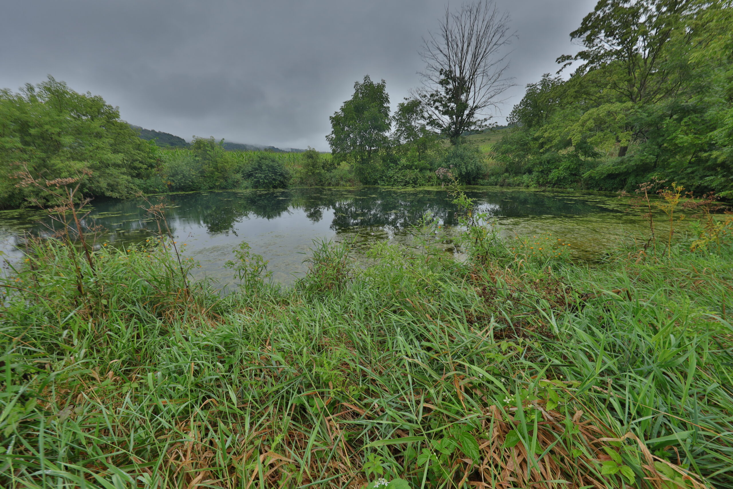Land with Trout Stream for Sale in Richland County, Wisconsin