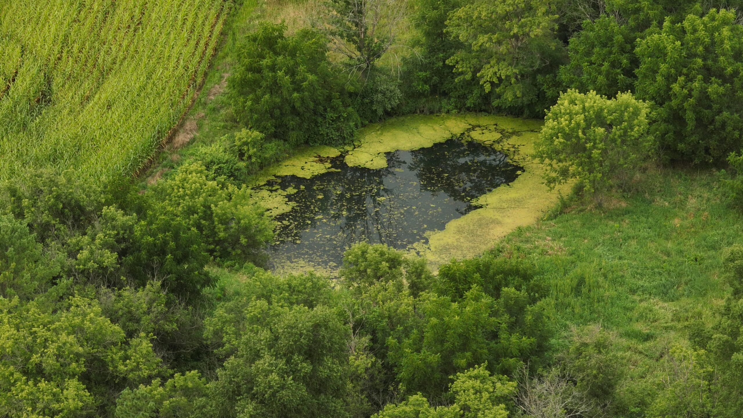 Land with Trout Stream for Sale in Richland County, Wisconsin