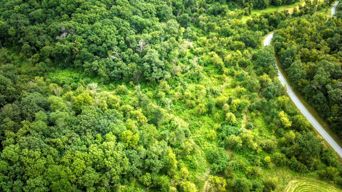 Hunting Property in Trempealeau County, WI