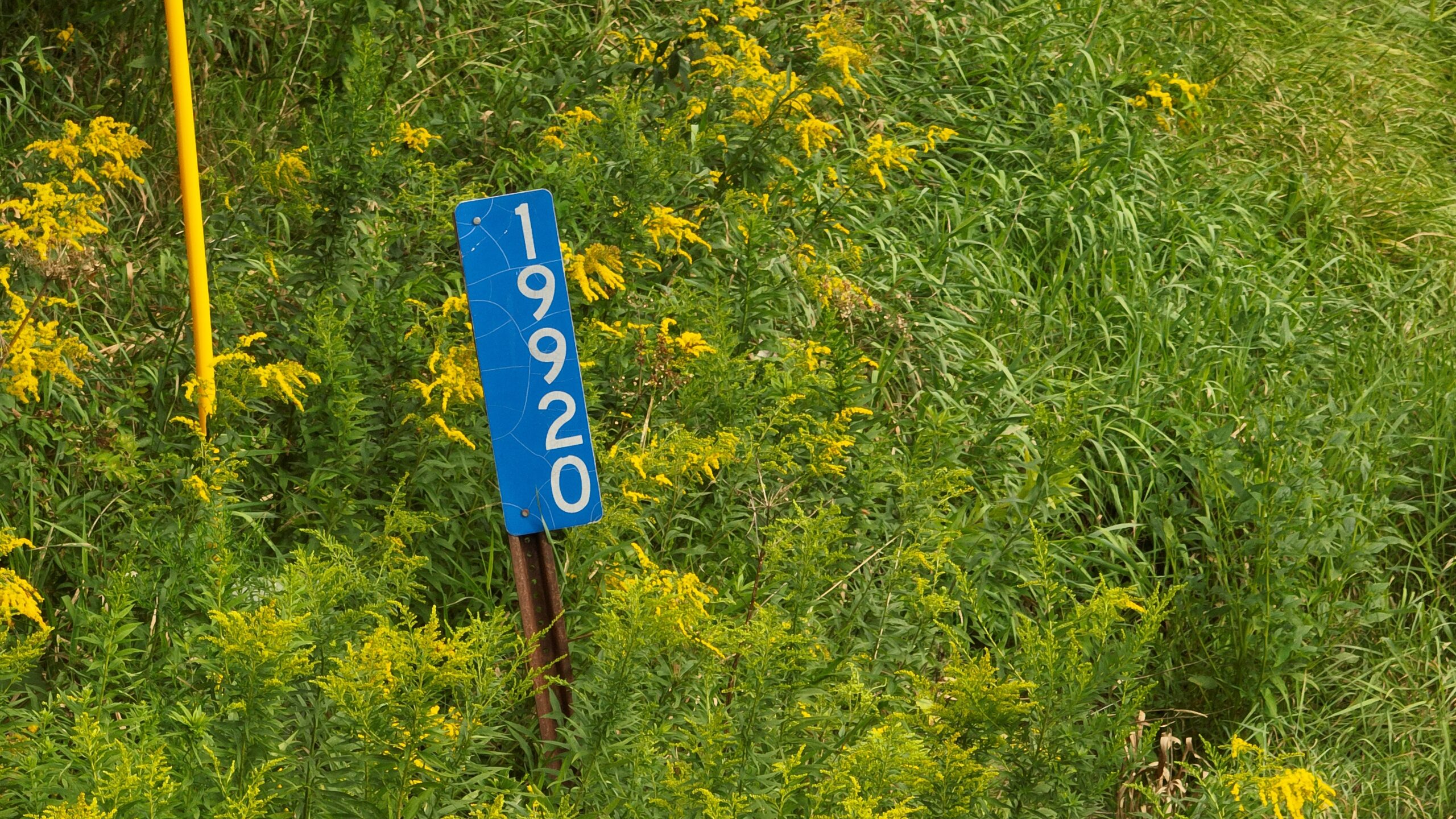 Land with Trout Stream for Sale in Richland County, Wisconsin