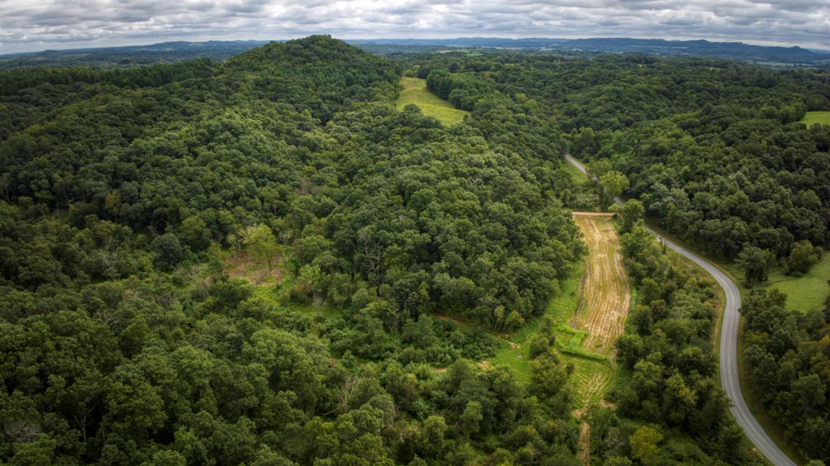 Hunting Property in Trempealeau County, WI
