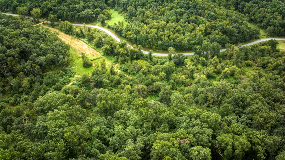 Hunting Property in Trempealeau County, WI