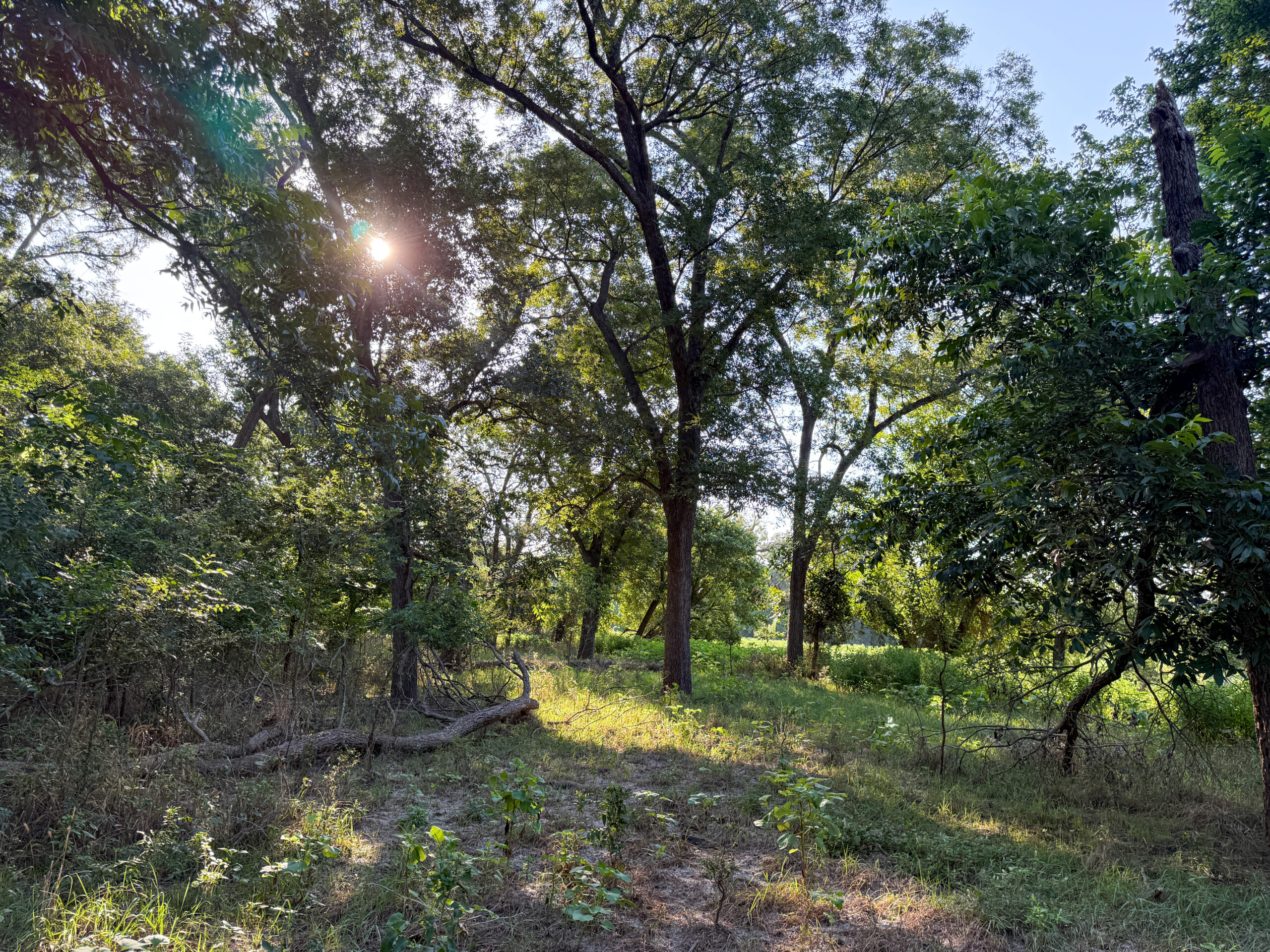 23.866 Acres of Riverfront Land for Sale in Coryell County, Texas