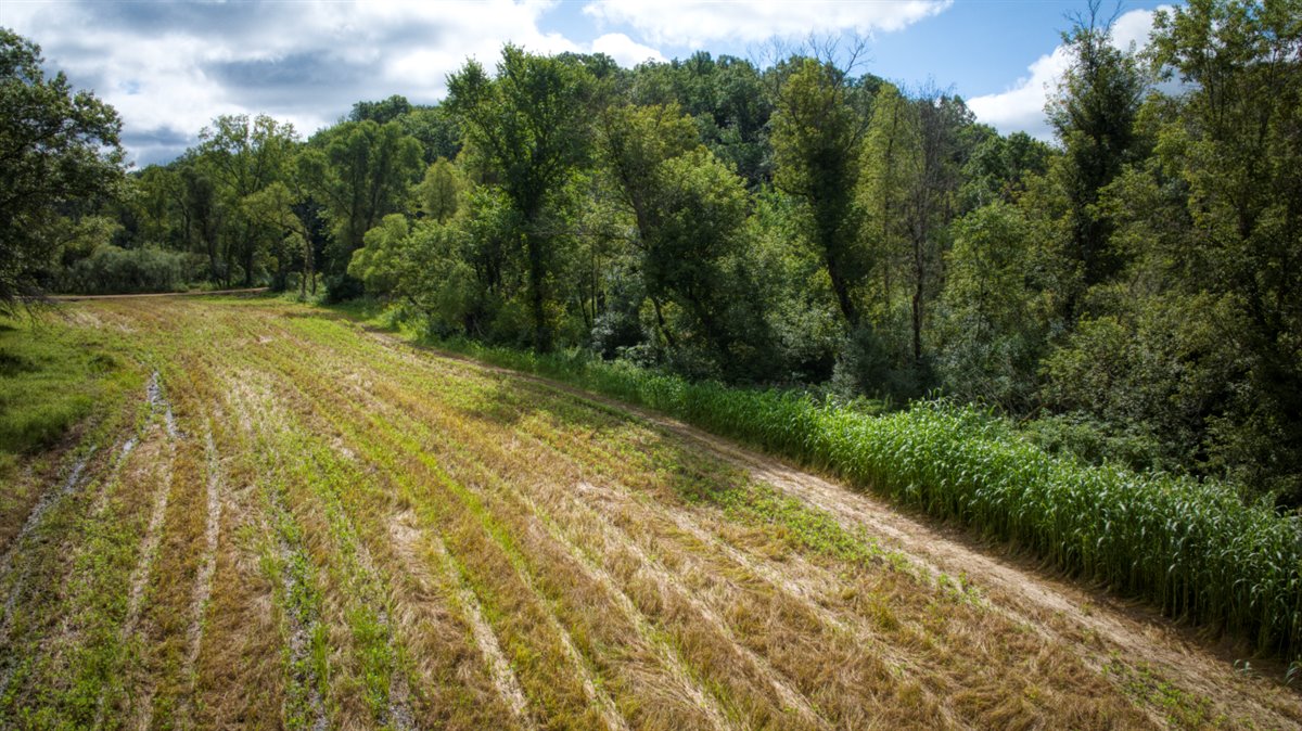Hunting Property in Trempealeau County, WI