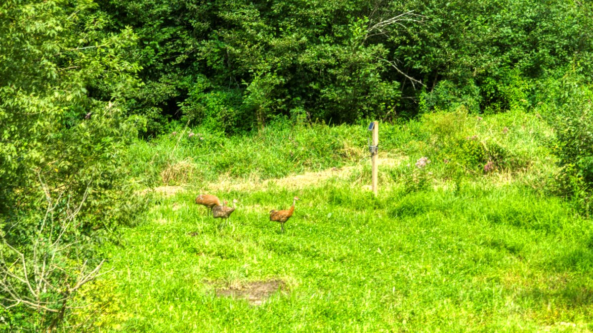 Hunting Property in Trempealeau County, WI