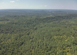 231.15 Acre Timber Land for Sale in Clifton, Tennessee
